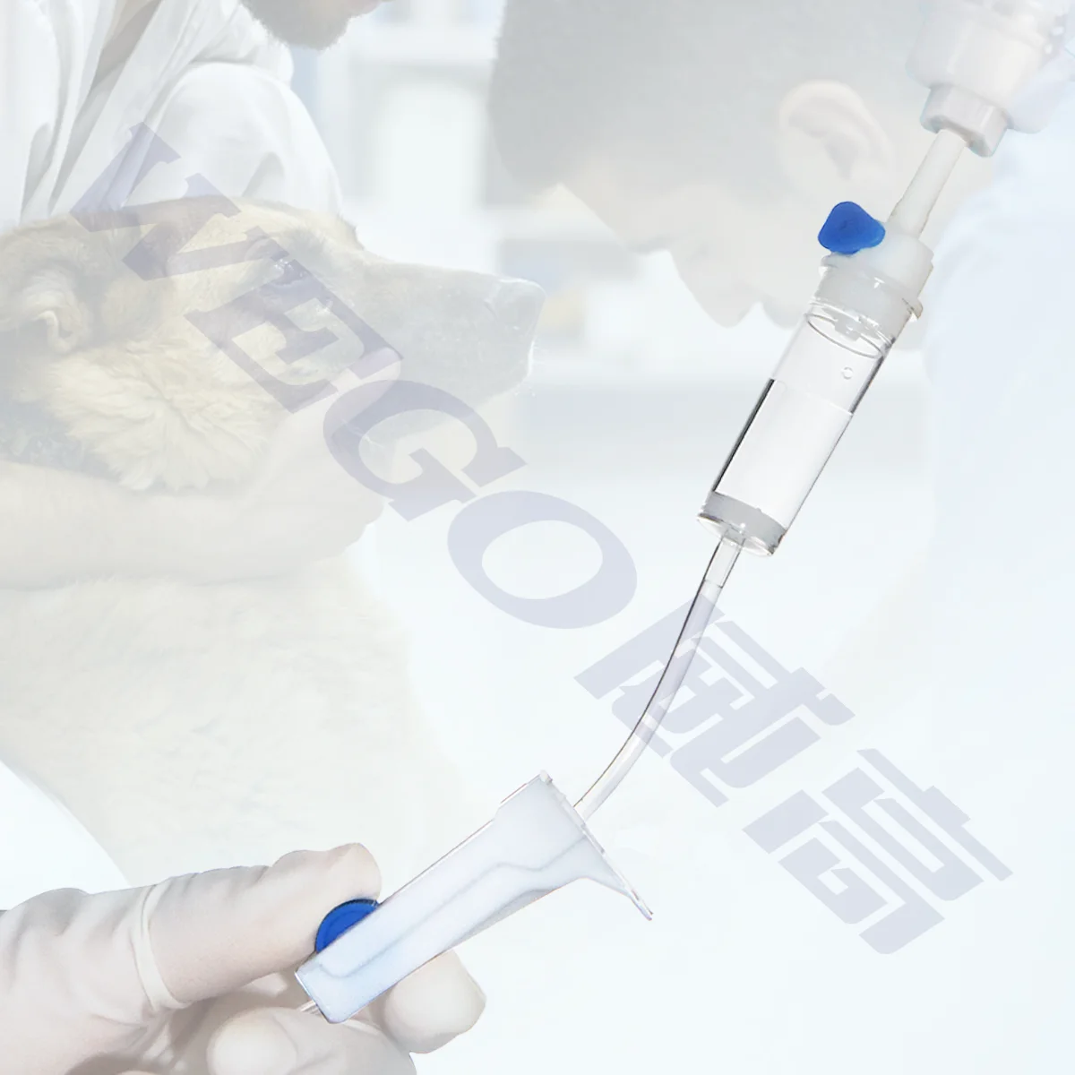 WEGO Veterinary iv infusion set parts iv styler types of peripheral iv catheters