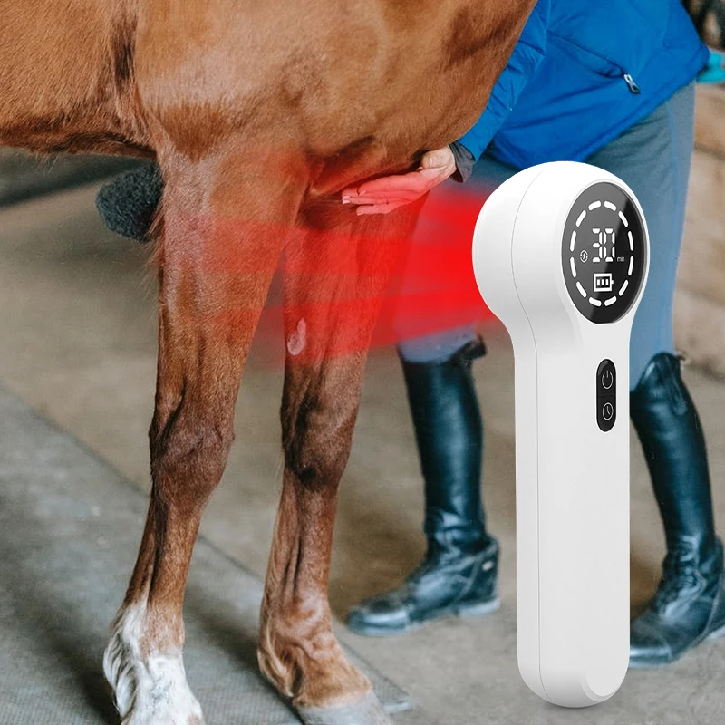 Multifunction Physical Portable With Lcd Screen Swollen Cold Laser Therapy Instrument 650Nm Skin Disease Human/Vet Device