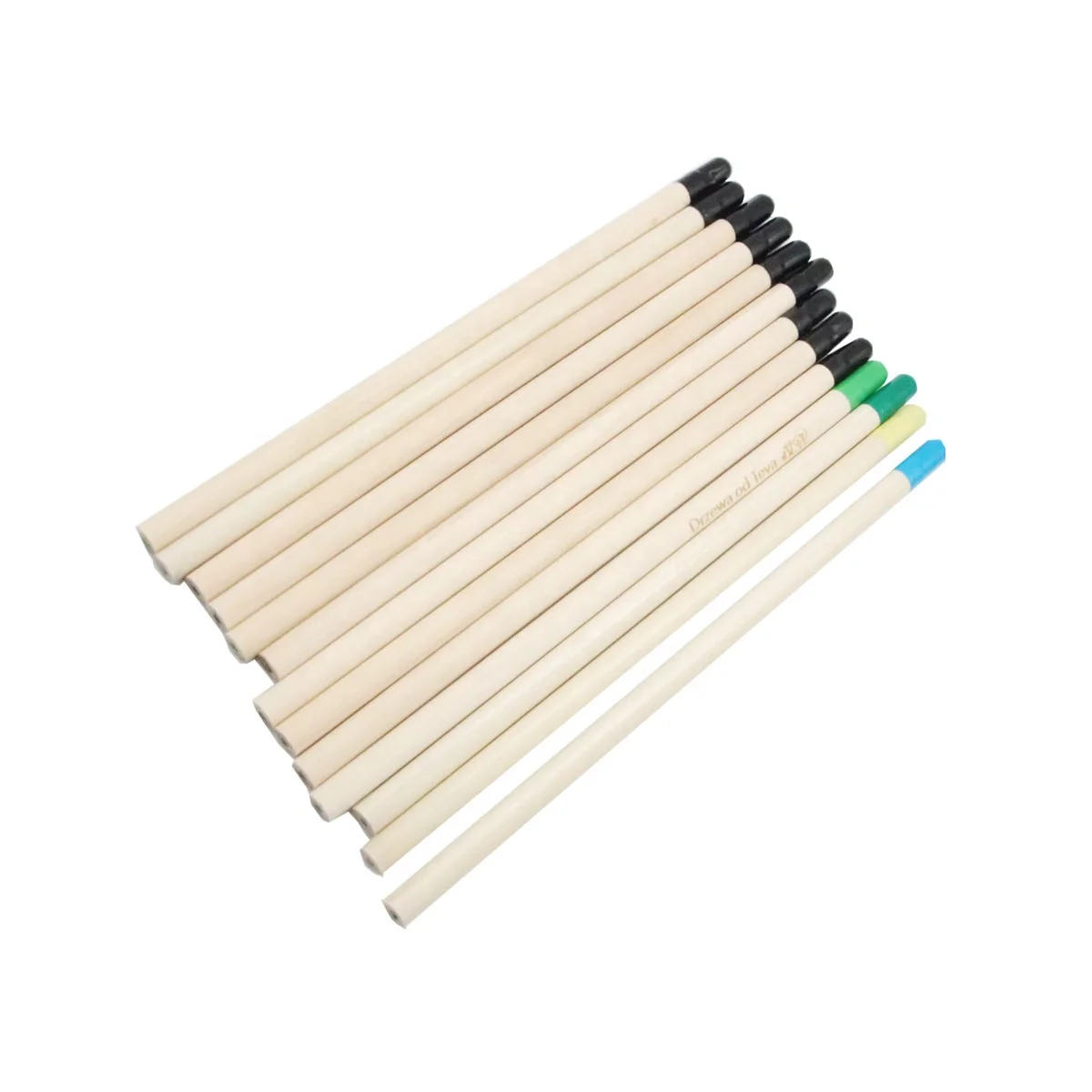 Environmental Plant Pencil for Wholesale Customized Package Seed Pencil Interesting Pencils