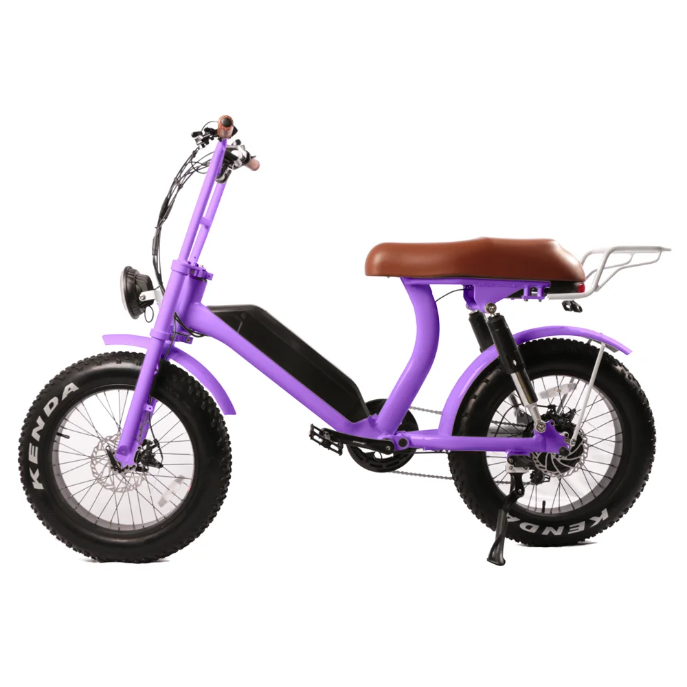 20'Fat tire ebike eec electric moped powerful adult electric scooters retro electric bike for city commuting
