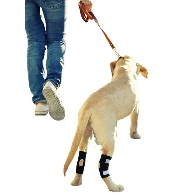 Pet Knee Pads With Support Strips Dog Leg Guards Dog Legs Reflective Pet Protector Dog Surgery Injury