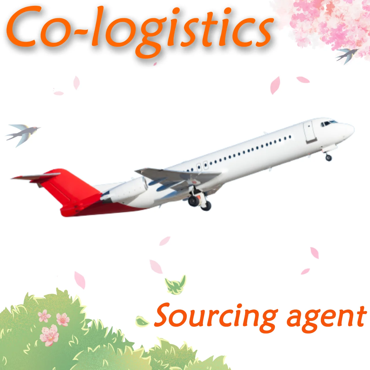 DDP shipping freight rates from China to tbilisi georgia by air