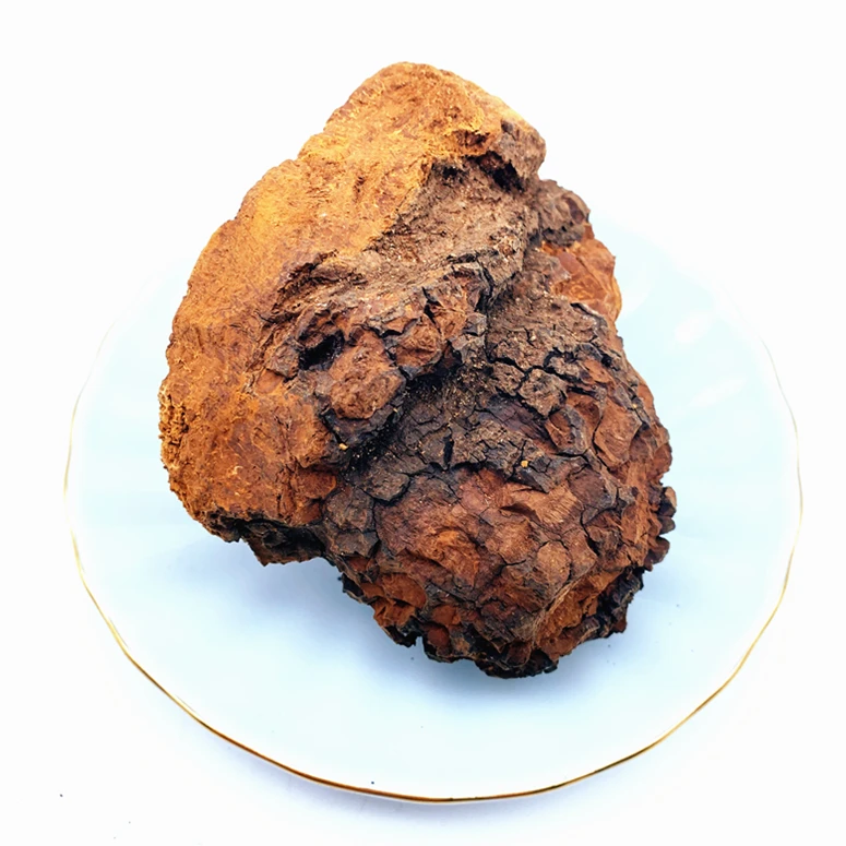 
100% Natural Wild Siberian Dried chaga mushroom chunks / Chaga Tea 