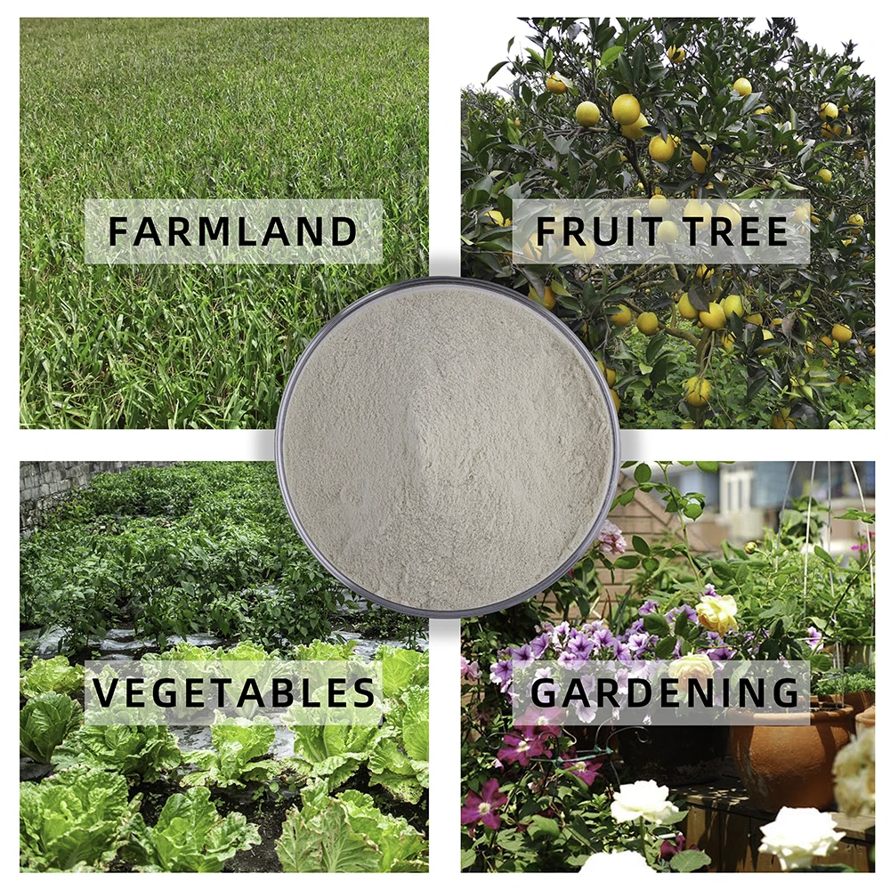 Pure 80% Amino acid powder bio organic fertilizer 100% water solubility amino acid from plants