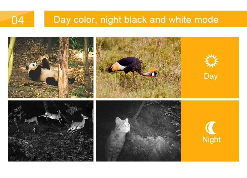 WDH-502 hunting camera_06.jpg