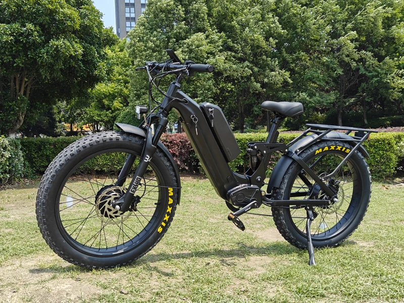 ebike 81.jpg