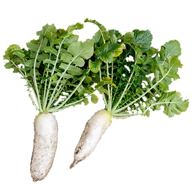 Safe Secure White Radish Natural Fresh Broccoli Cabbage Stir-Fried Meat And Vegetables