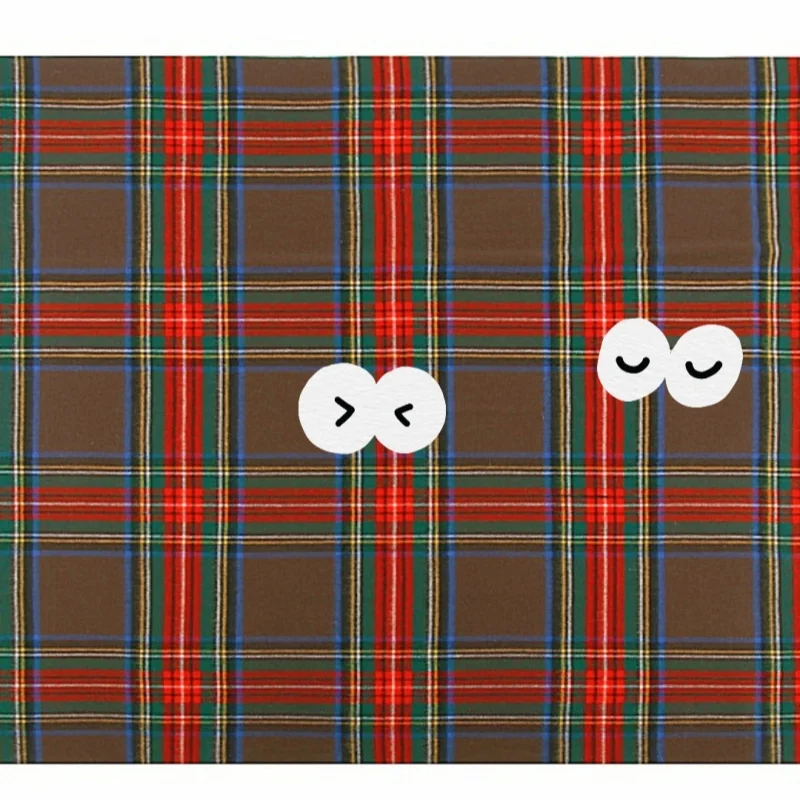 Fashion New Design Fluffy Wool Blankets Customized Super Soft Plaid for Winter Vintage Woven Unisex Wearable EDELWEISS Accept