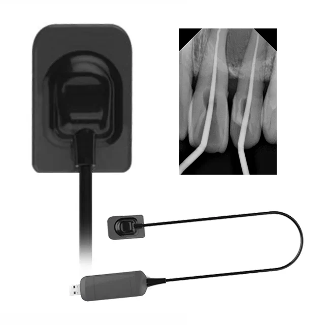 Factory price Dental Intraoral X-Ray Sensor Digital RVG HDR CMOS intraoral sensor