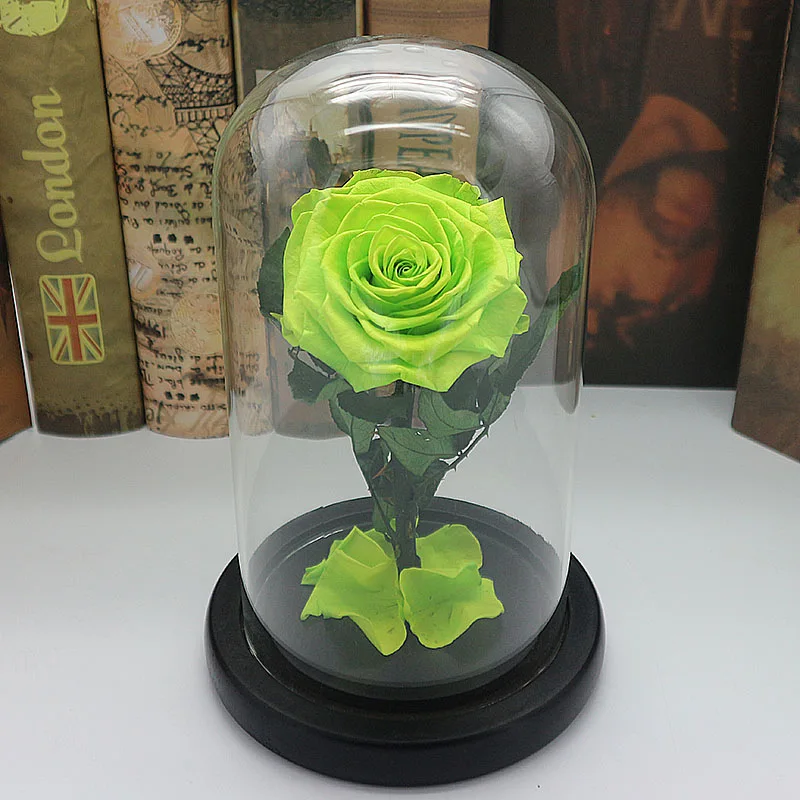 Preserved Rose Red Rose in Glass Dome Real Roses Preserved Flowers Valentines Day Gifts long lasting in flower box