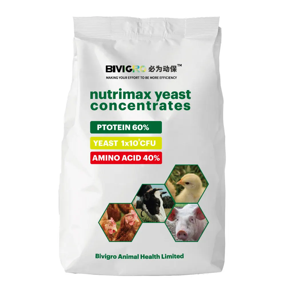 Nutrimax Single Cell Protein Yeast Protein Powder For Poultry Feed 64% Substitute For Fish Meal