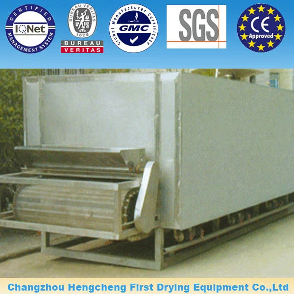 Hot sale China brand fruit drying machine (DW  series)