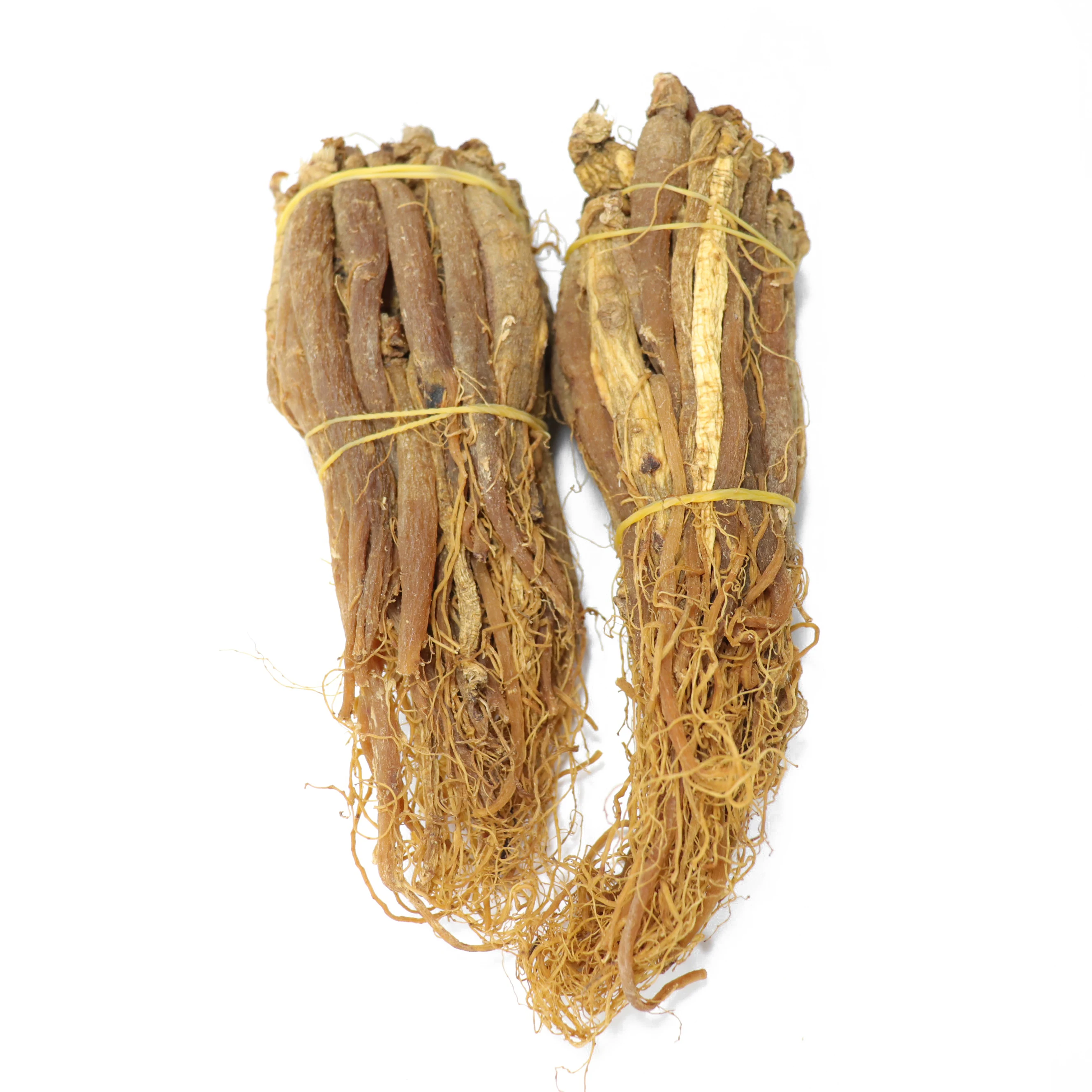 Wholesale Price Organic Wild Panax Ginseng Root Dried Red Korean Ginseng Tails