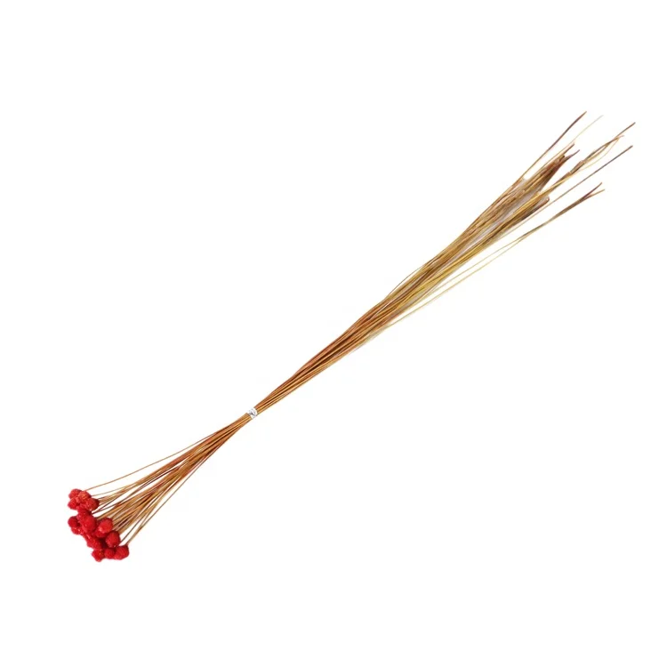 Оптовая продажа сушеных звездных цветов миниатюрные дикие соломки цветок хризантемы Бразильская Маргаритка бразильский счастливый