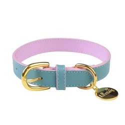 2021 New Contrast color Designer pet dog collar leather