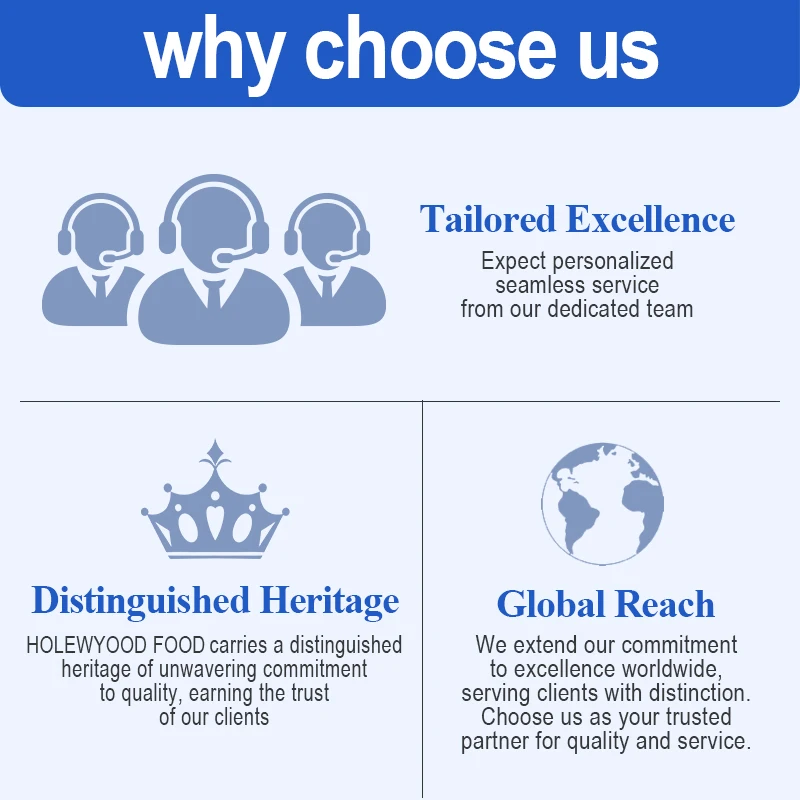 Holeywood Tablet Candy 7g Watermelon Flavored Fruity-Sweet-Sour Yogurt-Milk Cartoony Patterns Bulk Bag Box Bottle Halal