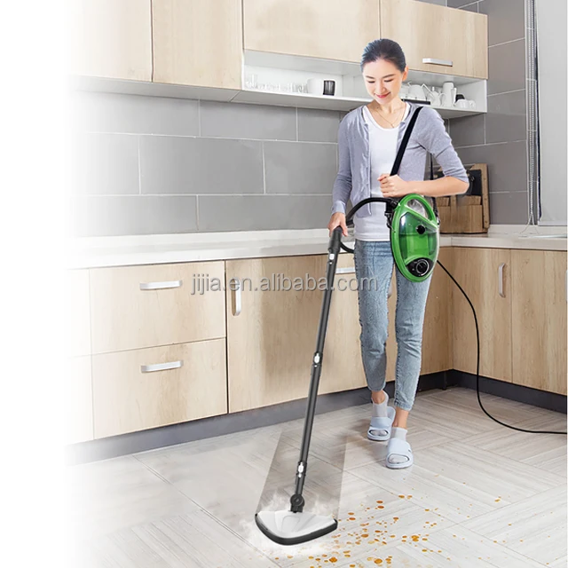 Multi-function steam cleaner with bit water tank