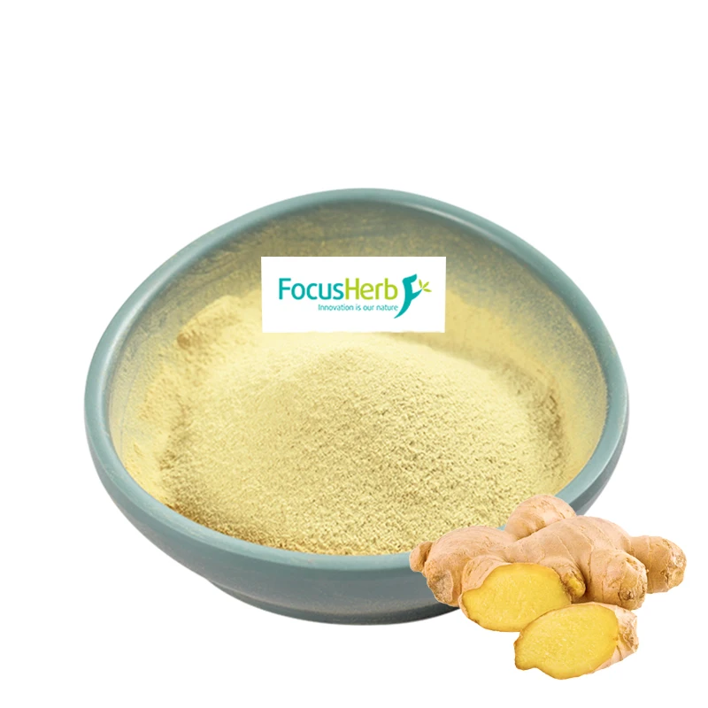 
FocusHerb zingiber officinale 5% Gingerol Ginger Extract 