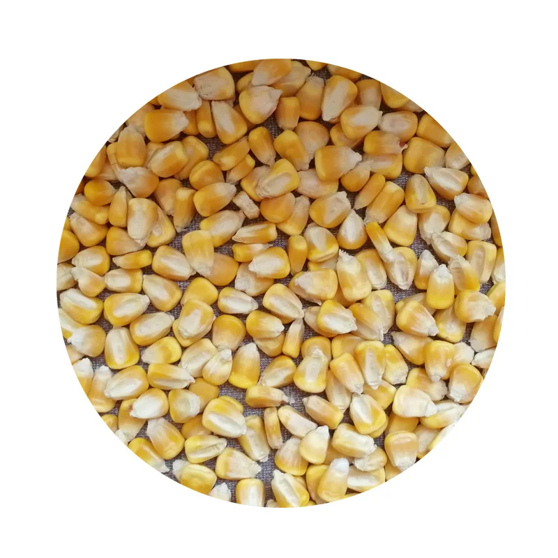 
Best Selling Natural Corn Broken Dried Corn Chips 