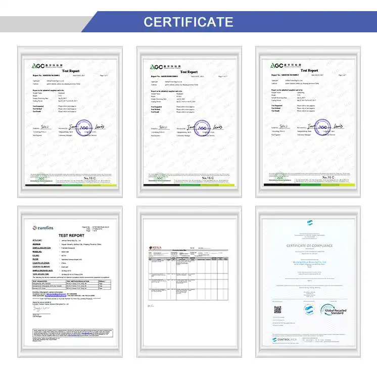  Popular Camping Food Breast Milk Tote Cooler Bag with Adjustable Strap