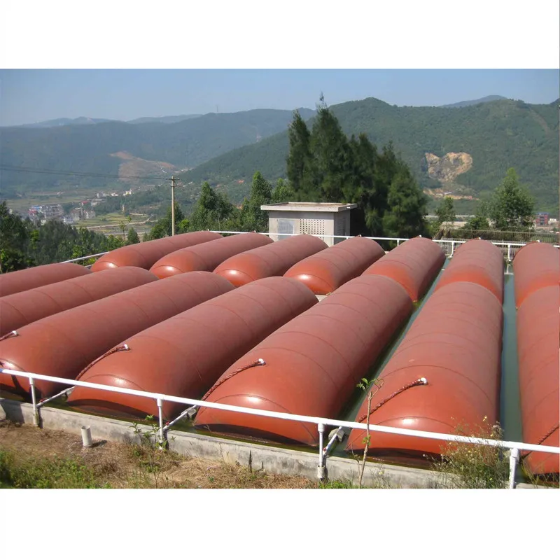 biogas plant for electricity biogas storage balloon bag equipment system bio digester for pig cow farm biogas conversion kit