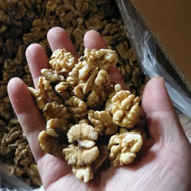 
Premium Grade of Walnut Kernels Light Halves 