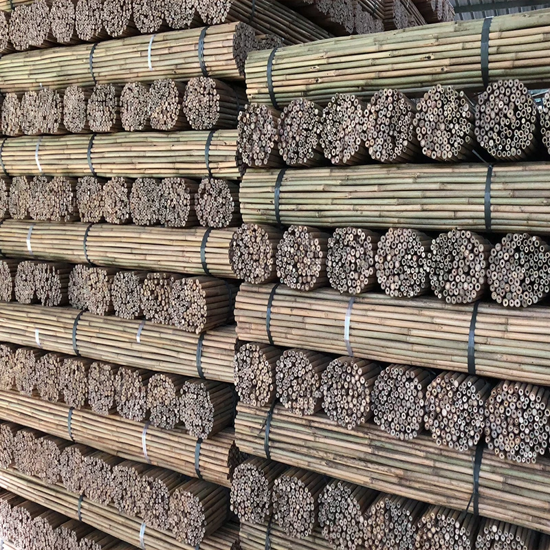 Raw Bamboo good quality Big Raw bamboo stake