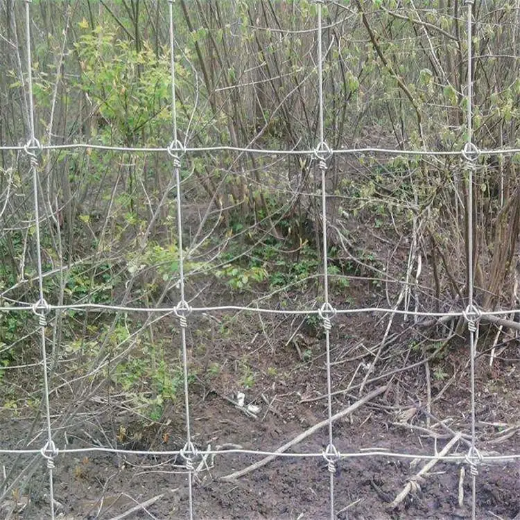 High Quality Grass Land Pasture Galvanized Hinge Joint Cattle Cattle Fence Roll Field Wire Mesh Deer Fencing Iron Metal Rustic