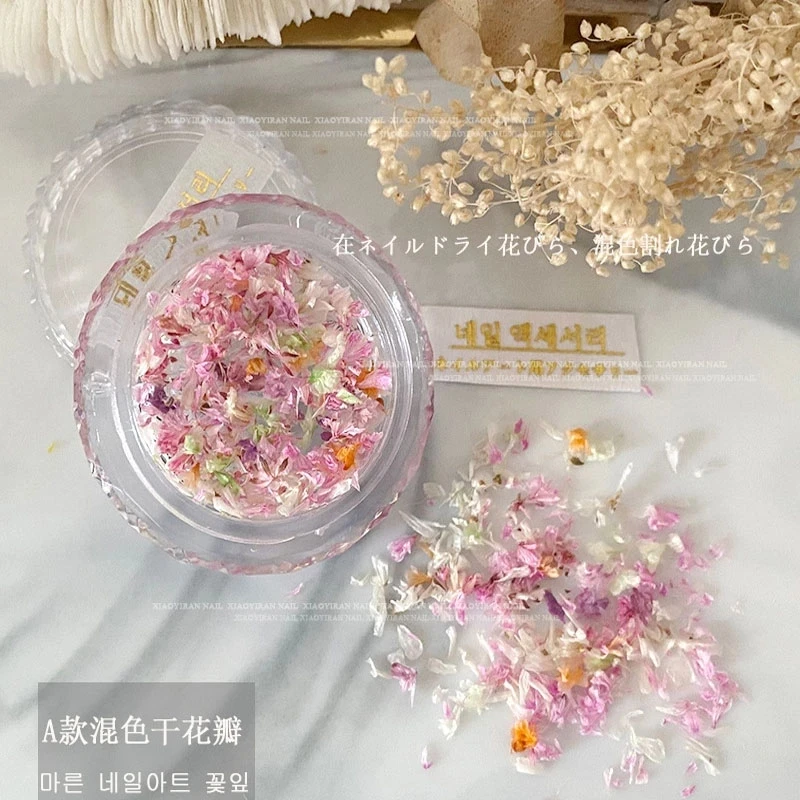 Fashion Dried Flowers for Resin Craft Nail Art Mix Small Mini Dry Flowers Press on Nail Charms Summer Nail Accessories