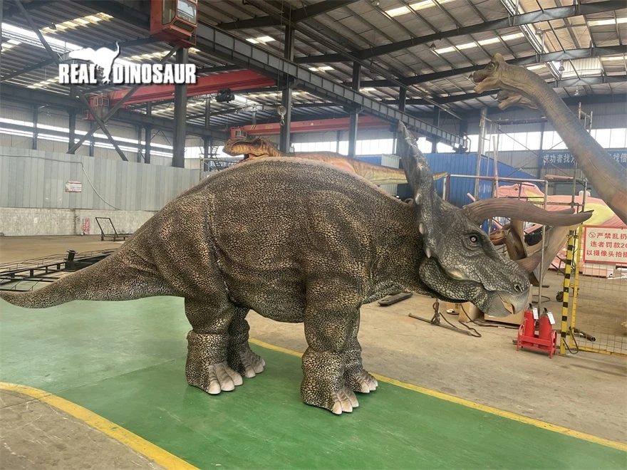 Adventure park realistic triceratops dinosaur costume for two performer