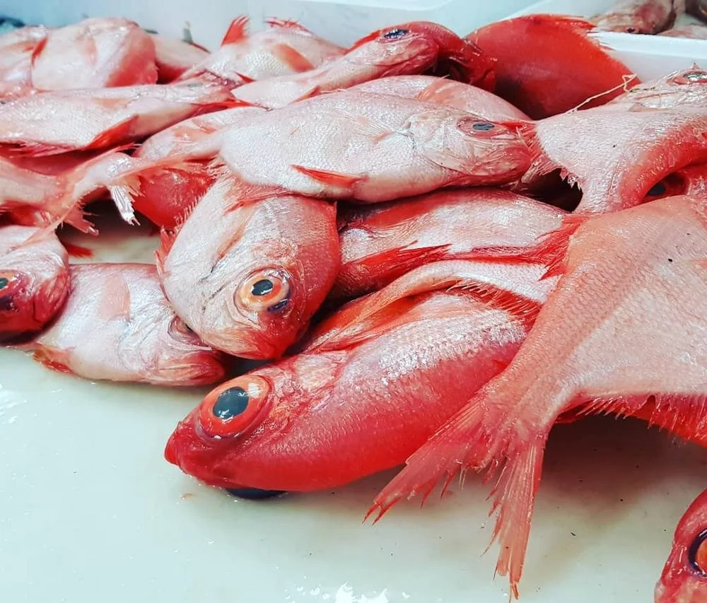 Дешевые замороженные морепродукты alfonsino air рыба окунь свежий морской