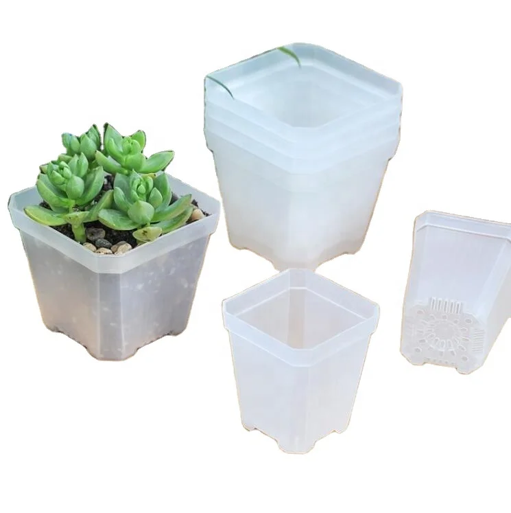 Hot Mini Small Square Shallow Black White Clear Transparent Plastic Plant Nursery Mesh Seedling Succulent Planter Flower Pot