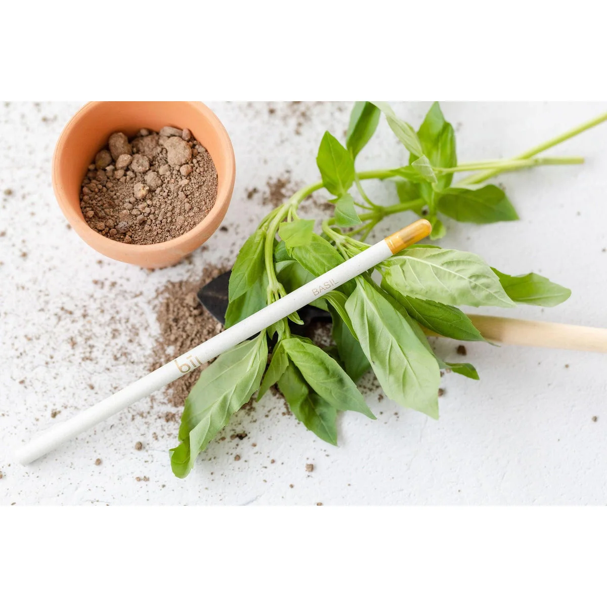 customized professional seed Pencil  for planting recycled Basil plantable  pencil for Corporate Gifting