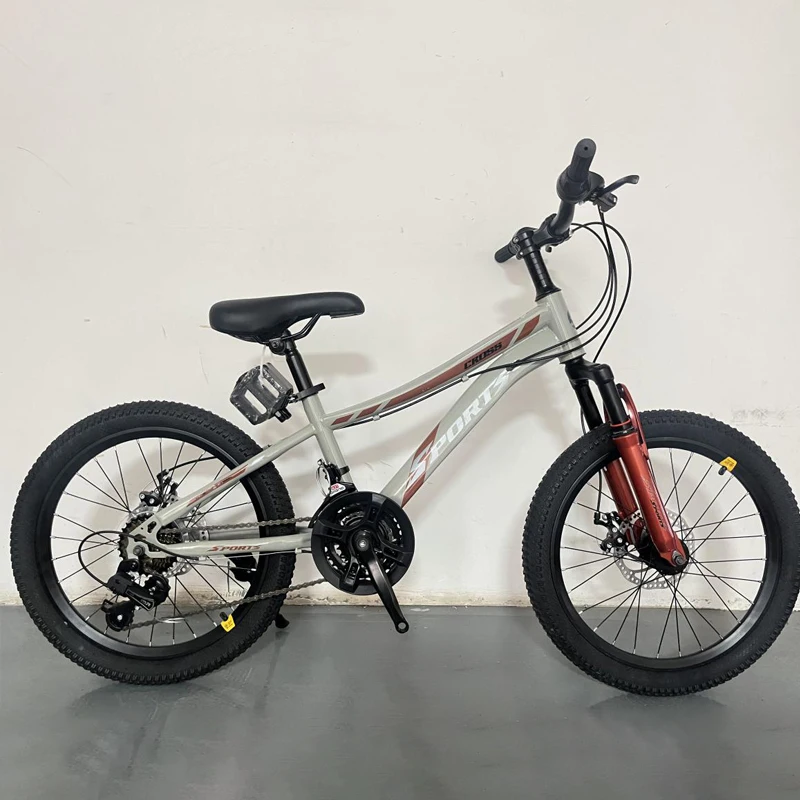 2024 China Bmx 18 20 22 24 Inch 21 Speed Children Cycle Boy Mountain Bicycle Small Dirt Bike for Kids 12 Year Old