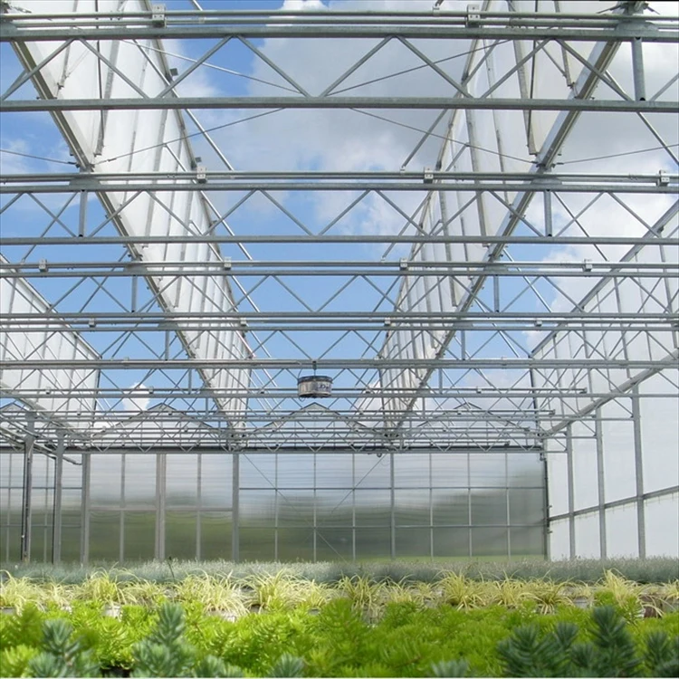 Commercial & Agricultural Greenhouses for Planting Vegetables & Tomatoes Multi-Span Plastic Film & Steel Cover Farm Garden Use