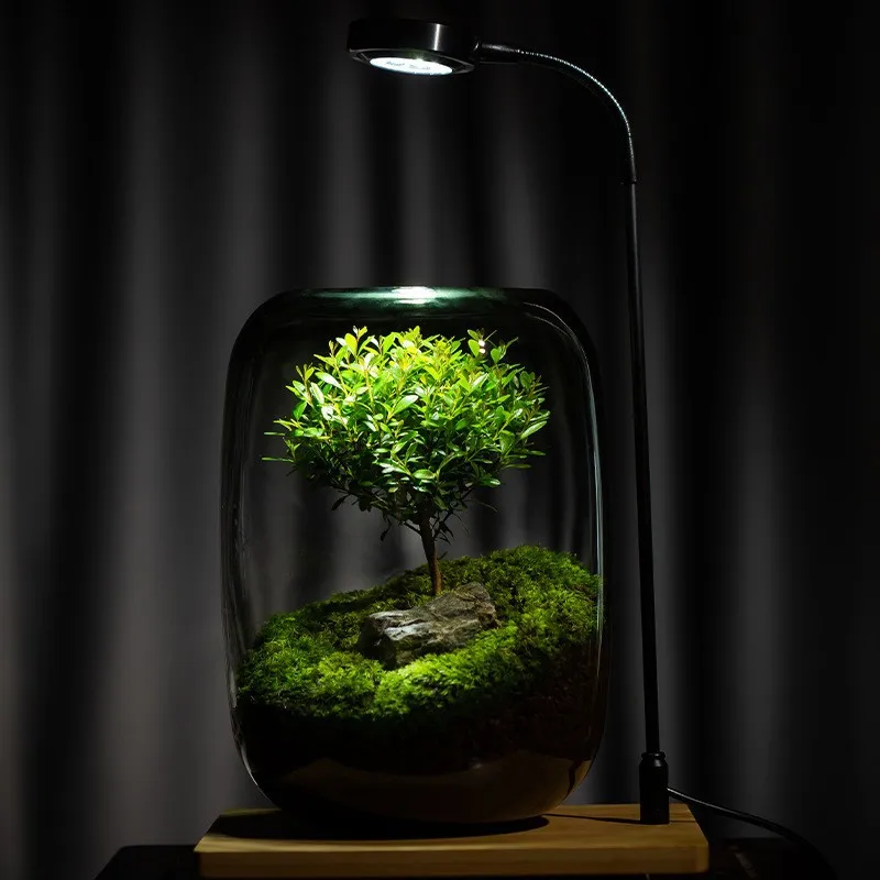 WeChat landscape DIY plant bottle glass vase decoration fish tank office desktop living room net red ornaments wholesale