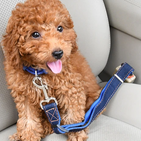 
Durable Outdoor Pet Train Accessories Safety Jean Cloth Heavy Duty Belt For Dog Adjustable Buckle 