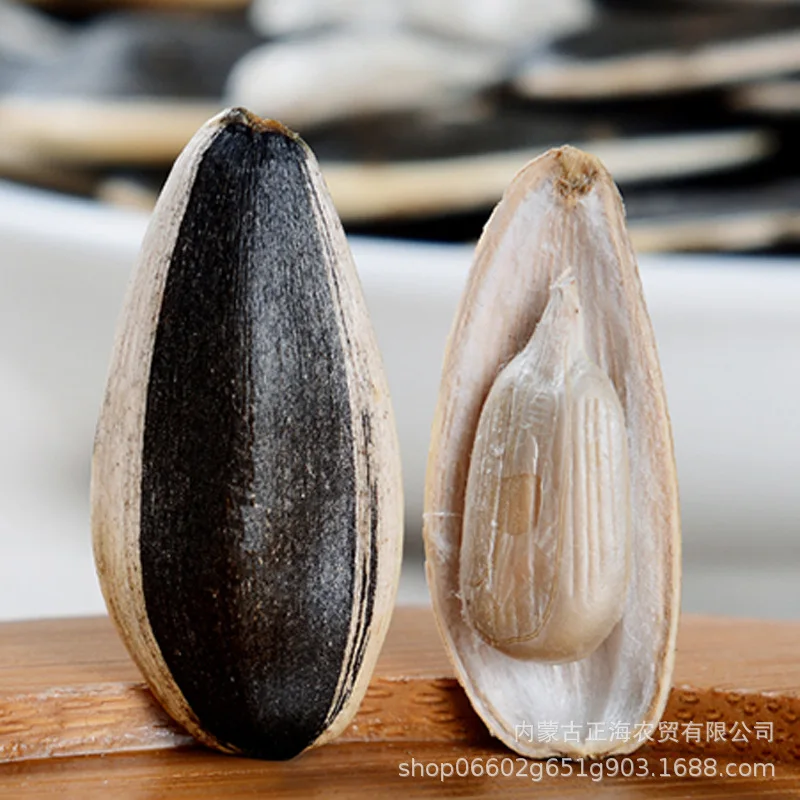 
Chinese factory supply top grade quality seeds sunflower 361 