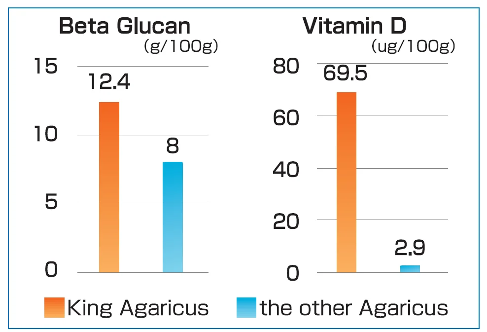 Anti-Fatigue Medicinal Mushroom Diabetes Health And Care For Improving Immunity