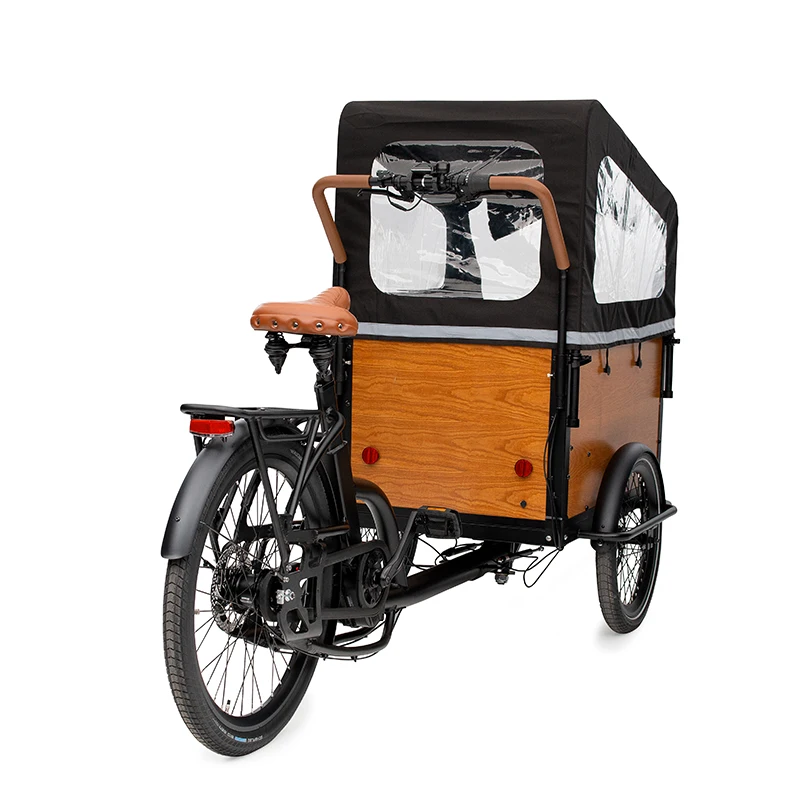 lastenfahrrad dutch Lithium battery fast electric bicycle cargo bike