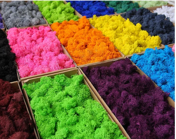 EG-A214 Wholesale Real Natural Plants Preserved Reindeer frame moss moss air sphagnum peat moss