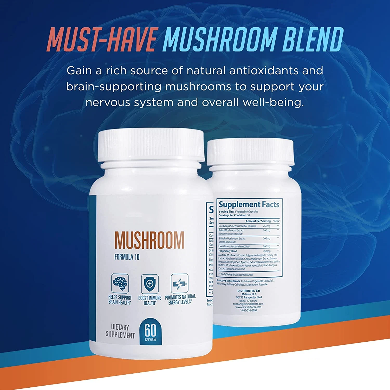 Support OEM Service Natural Mushroom Complex Capsules for Nootropic Supplement and Immune System