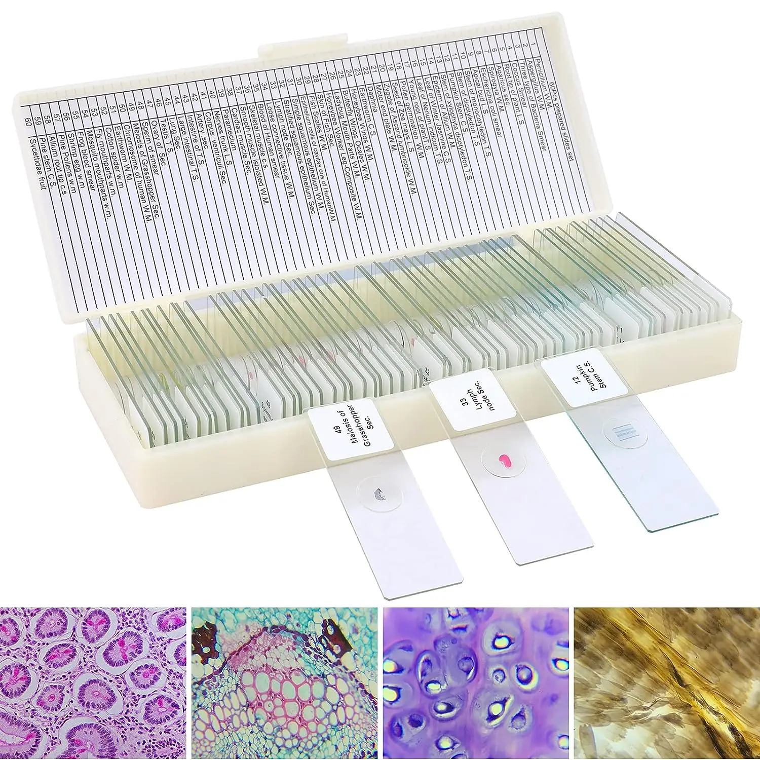 Microscope Slides with Specimens and Kids Adults Prepared Microscope Slides Set for Biological Science Education