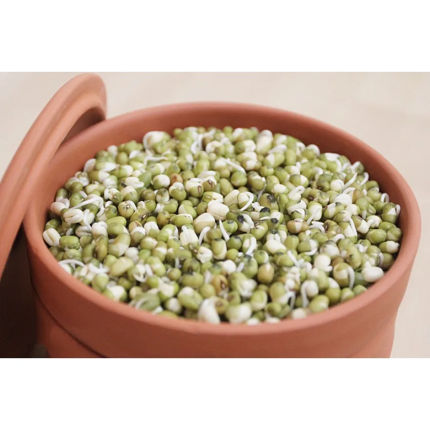 Terracotta Stacking Sprouter Clay Sprouting Pot Set