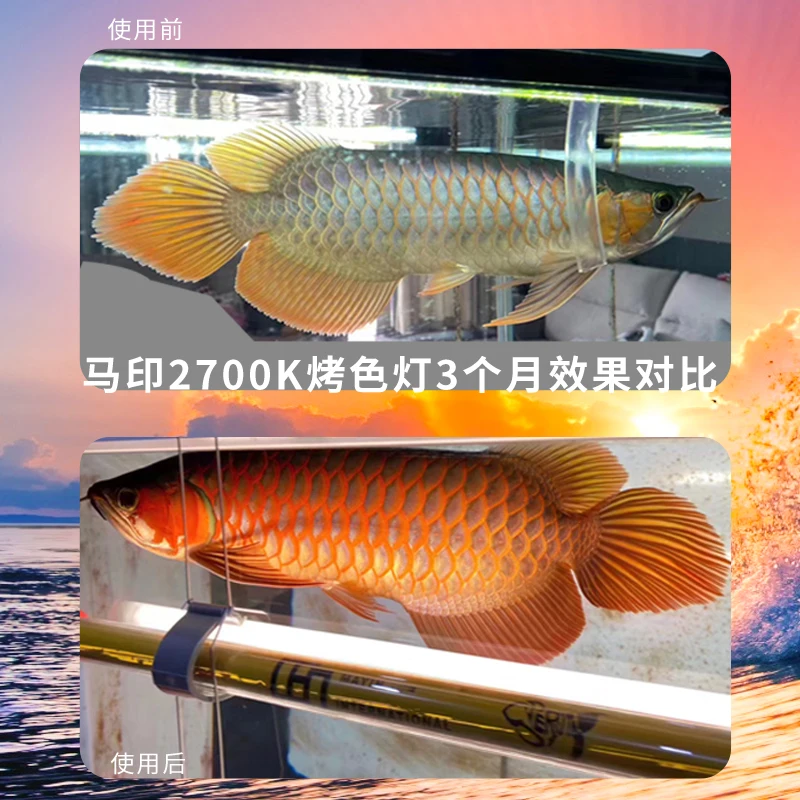 140cm 180cm Mayin Atomic Light Box Lamp Tube LED Aquarium Light Fish Tank Coral Reef Lighting