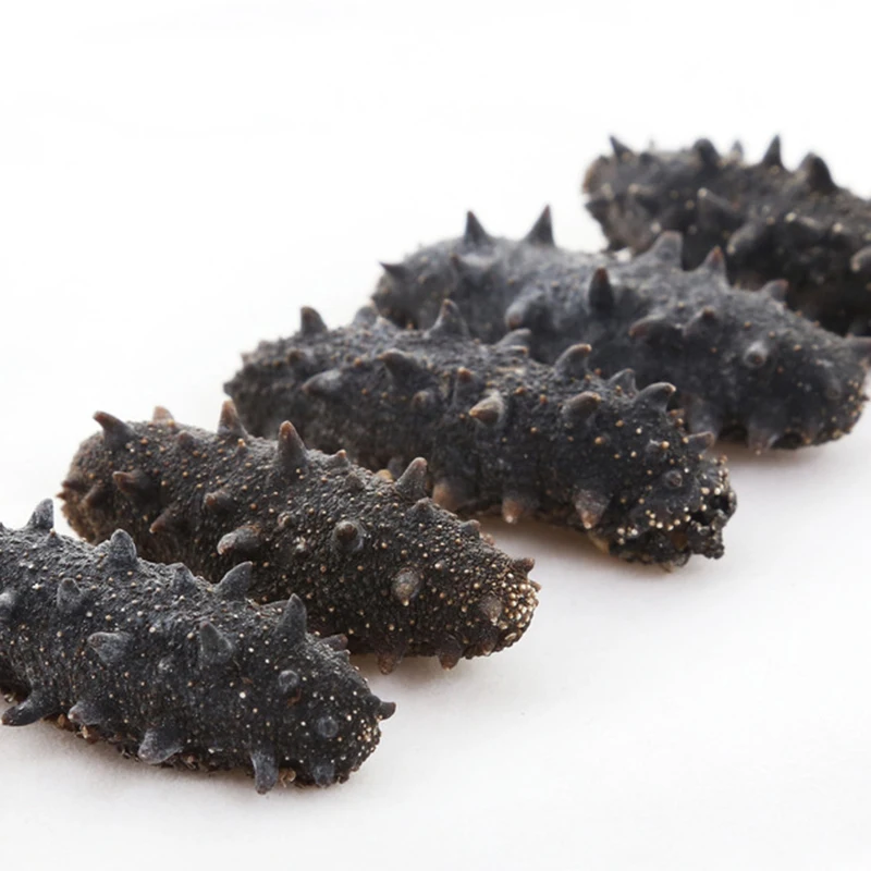 March Expo Promotion Top Seafoods in Wholesale Price 100% Natural Organic Dry Sea Cucumber