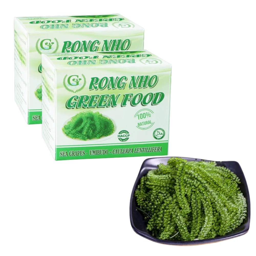 High Nutritious Vegan Sea Grapes Meal Haccp Certified Dried Nori Style Hot Selling from Vietnam in Carton Box Packaging