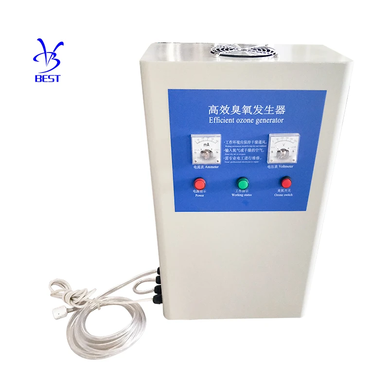 BEST China Supplier 5g 10g ozonators  Portable Ozone Generator For Water