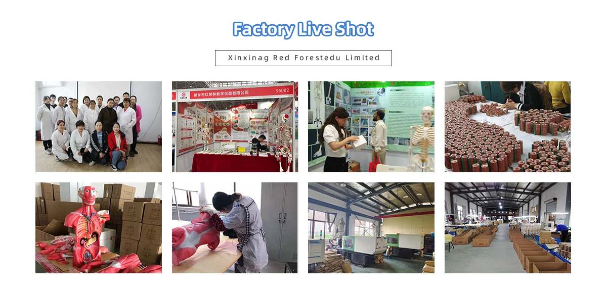 Company information-5.png