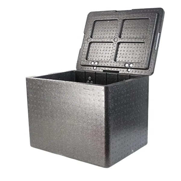 Wholesales EPP Foam Flip Box Iceless Cooler Insulated Compact Chill Chest Epp Foam Box